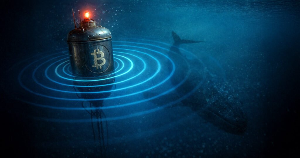 Bitfinex whale buy signals Bitcoin price battleground at $90,000 Bitfinex whale buy signals Bitcoin price battleground at $90,000