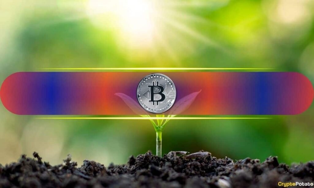 Do Bitcoin and Altcoins Have the Most Room for Growth in 2026? Do Bitcoin and Altcoins Have the Most Room for Growth in 2026?