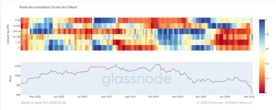 BTC is seeing accumulation across all cohorts, according to Glassnode BTC is seeing accumulation across all cohorts, according to Glassnode