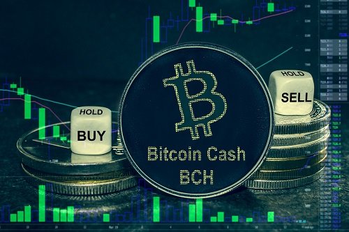 Bitcoin Cash holds near $500 despite broader crypto market slump: check 2026 outlook Bitcoin Cash holds near $500 despite broader crypto market slump: check 2026 outlook