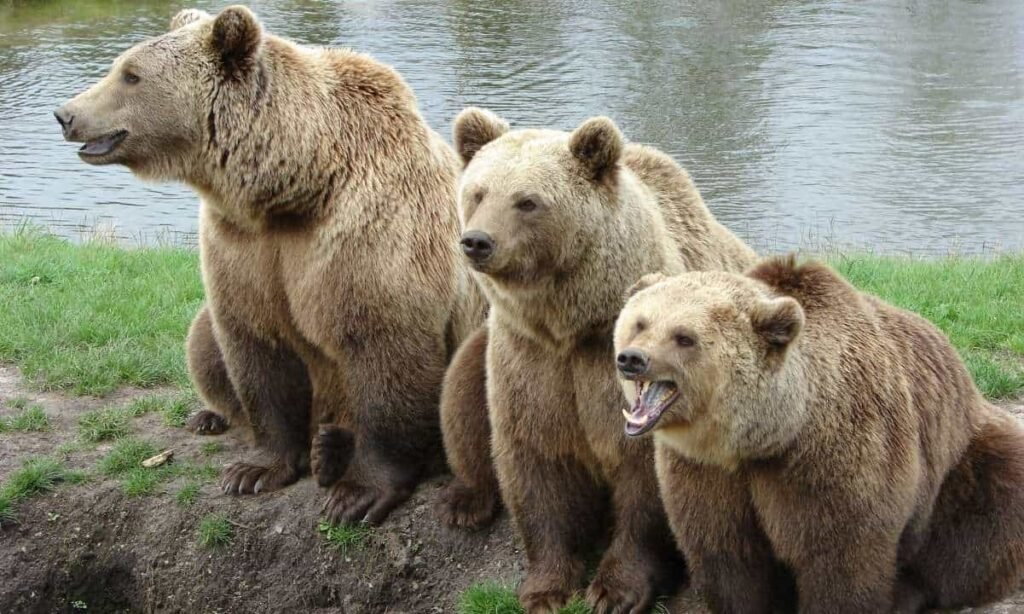 CryptoQuant Breaks Down Current Bear Market Signals CryptoQuant Breaks Down Current Bear Market Signals